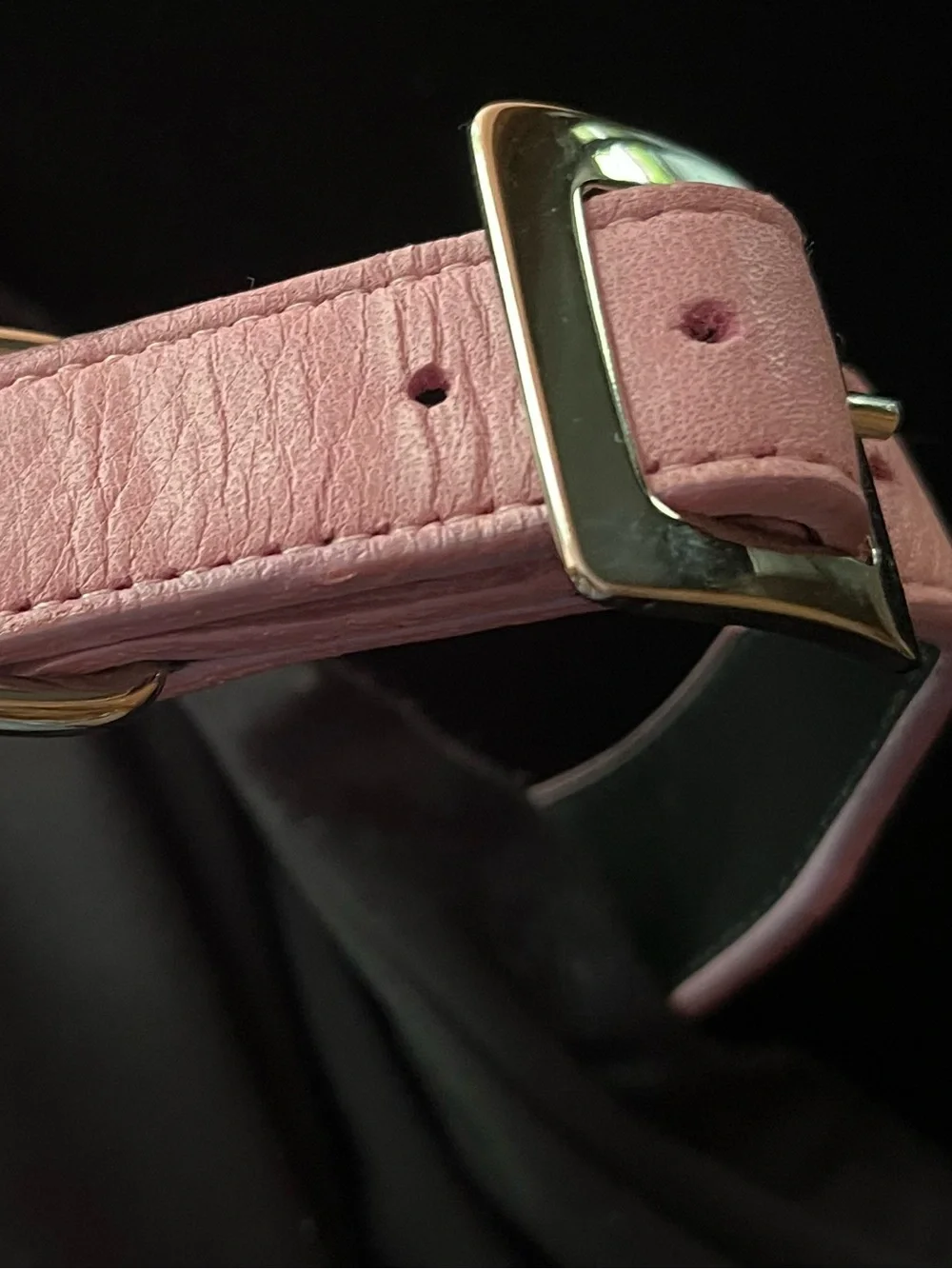 Hamptons Hound Pink Skeleton Rhinestone Embellished Dog Collar